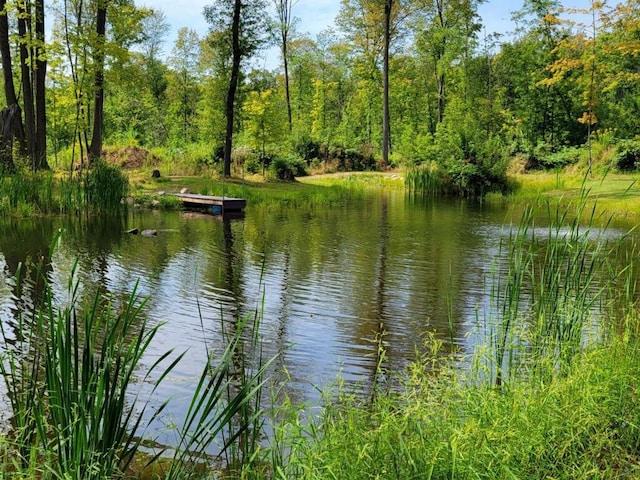 property view of water featuring a dock