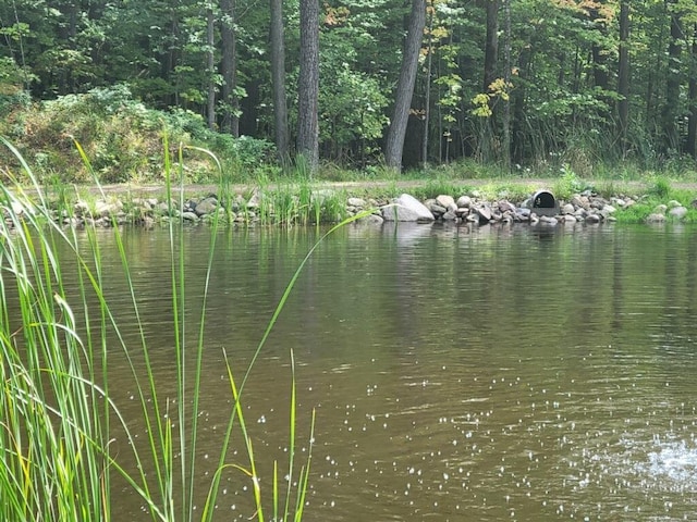 view of water feature