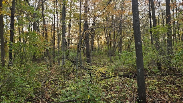 view of local wilderness