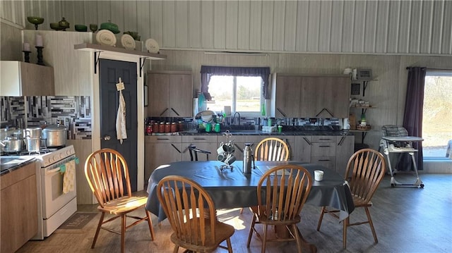 kitchen with plenty of natural light, wood-type flooring, and white range