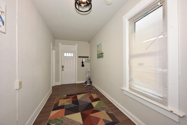 entryway featuring dark wood-type flooring