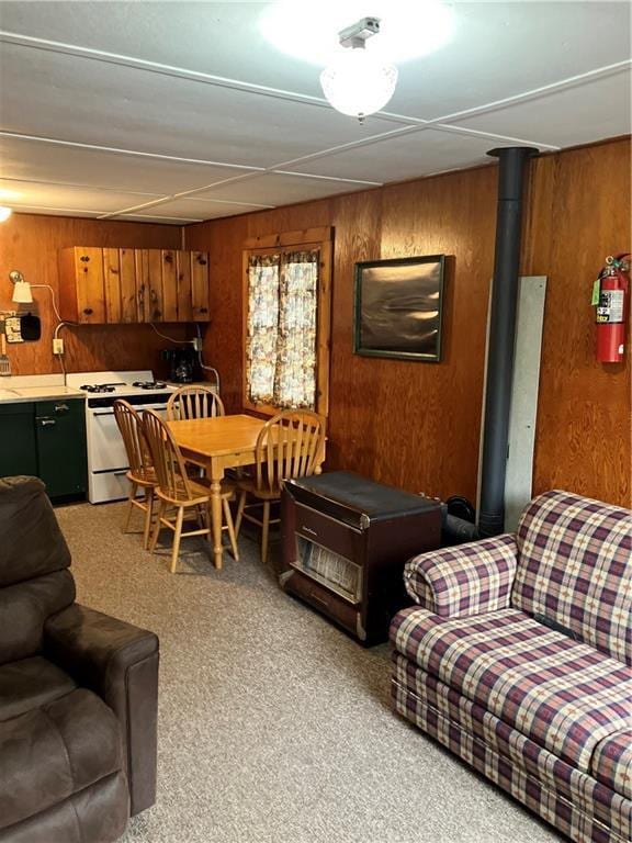 carpeted living room with sink and wood walls