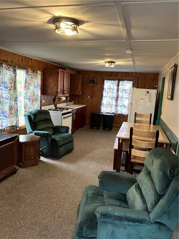 living room featuring carpet, sink, and wooden walls