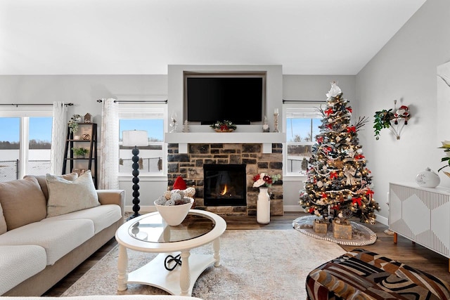 living room featuring hardwood / wood-style flooring and a fireplace