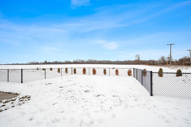 view of yard covered in snow