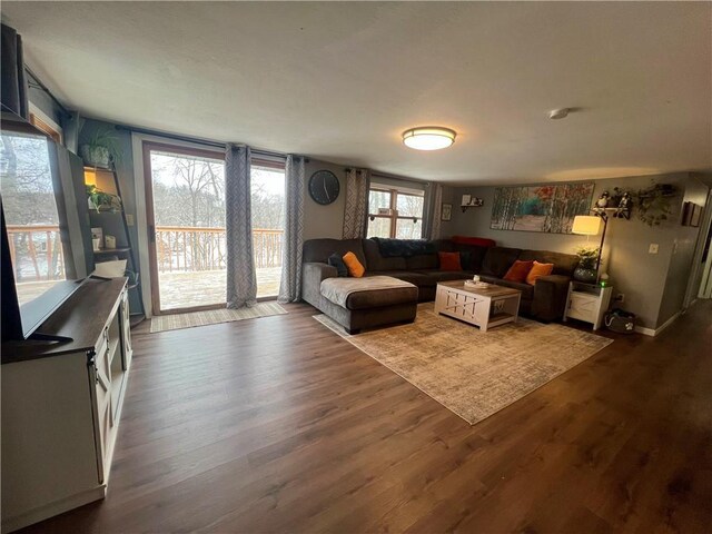 living room with dark hardwood / wood-style floors