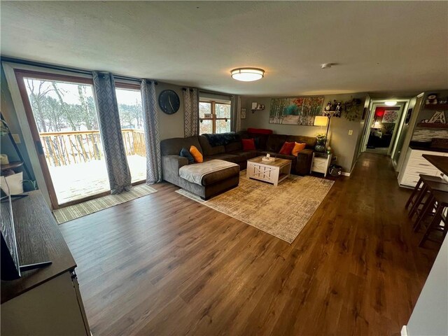 living room with dark wood-type flooring