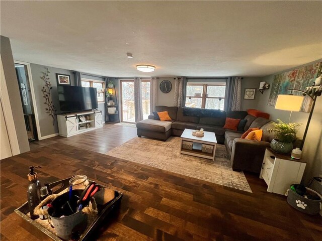 living room featuring hardwood / wood-style floors and a wealth of natural light