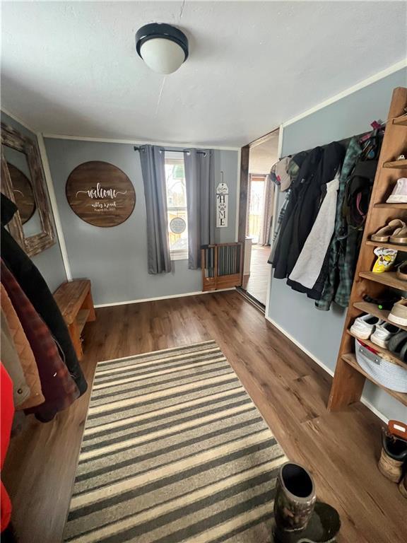 entrance foyer with dark hardwood / wood-style floors