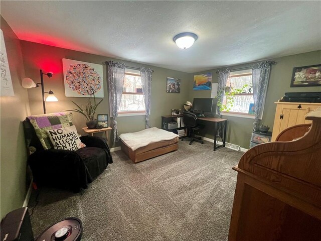 office space featuring a textured ceiling and carpet floors