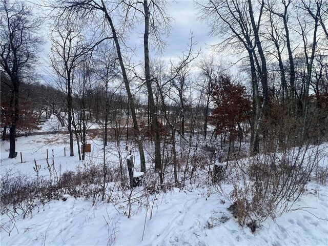 view of snowy landscape