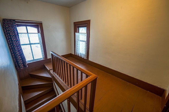 stairs with hardwood / wood-style floors