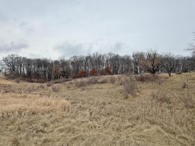 L135STAGHORN Black Forest Dr, La Valle WI, 53941 land for sale