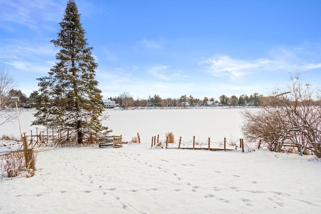 view of snowy yard