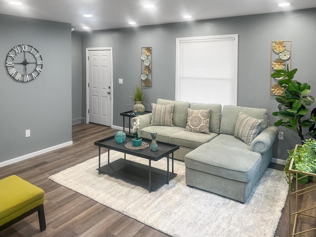 living room featuring dark wood-type flooring