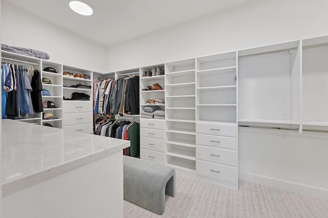 view of spacious closet