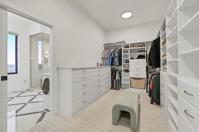 view of walk in closet