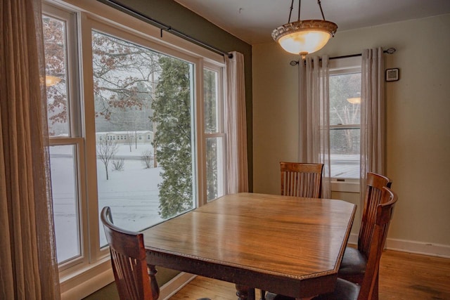 dining room featuring hardwood / wood-style flooring