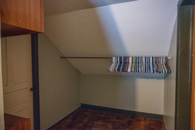 walk in closet featuring vaulted ceiling