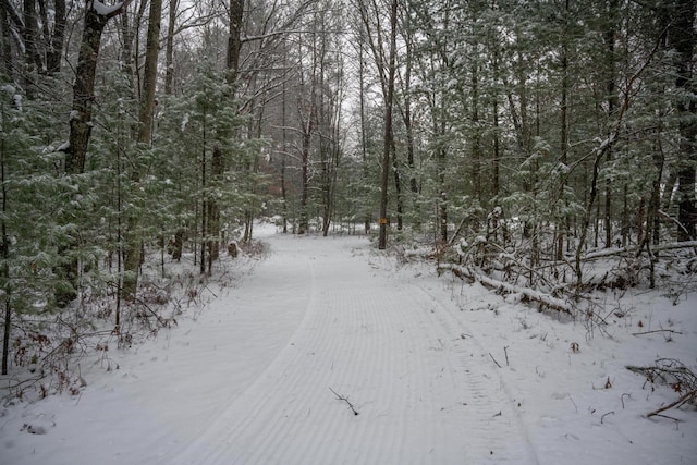 view of snowy landscape