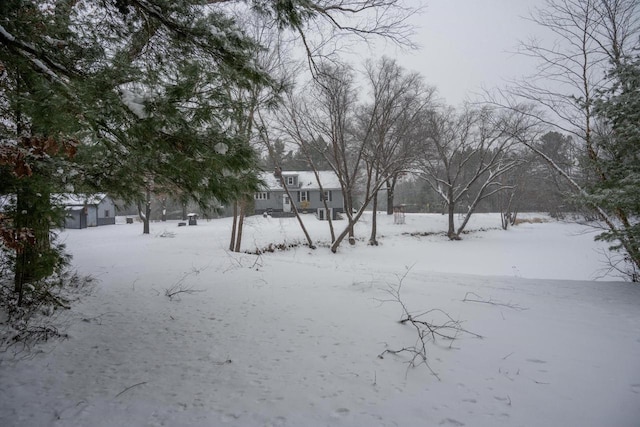 view of yard covered in snow