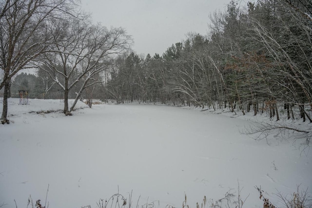 view of yard covered in snow