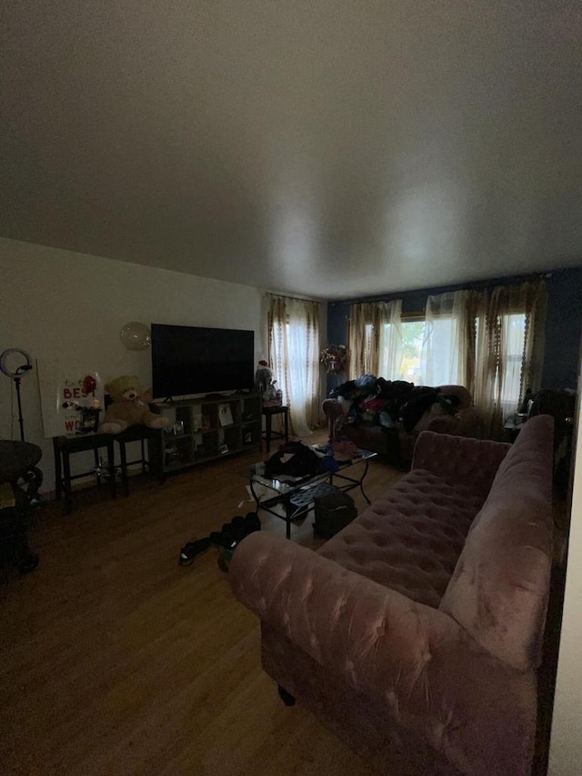 living room featuring hardwood / wood-style floors