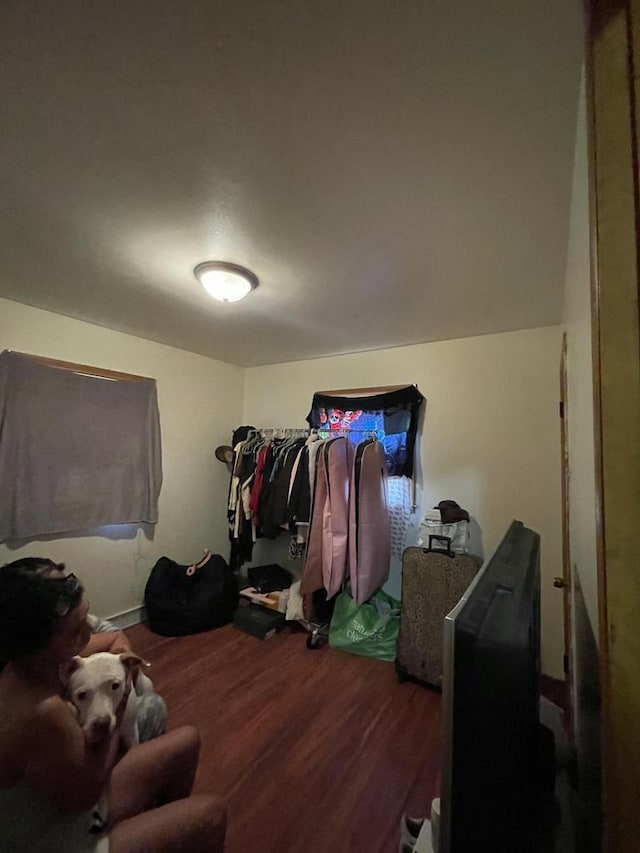 walk in closet with wood-type flooring