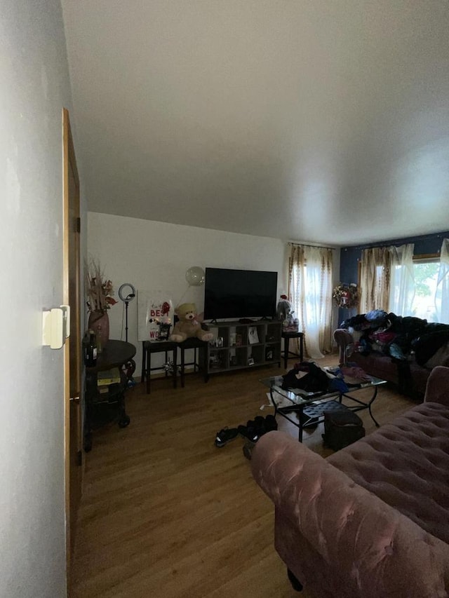 living room featuring hardwood / wood-style floors