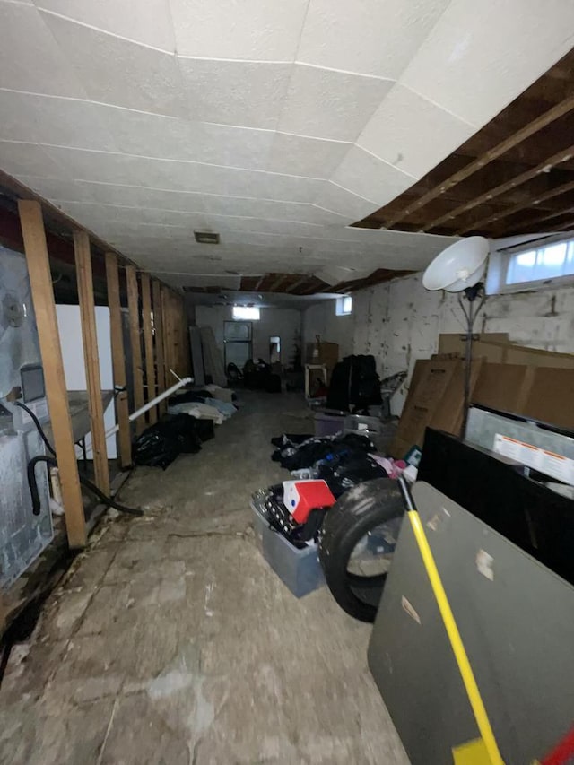 basement with a wealth of natural light