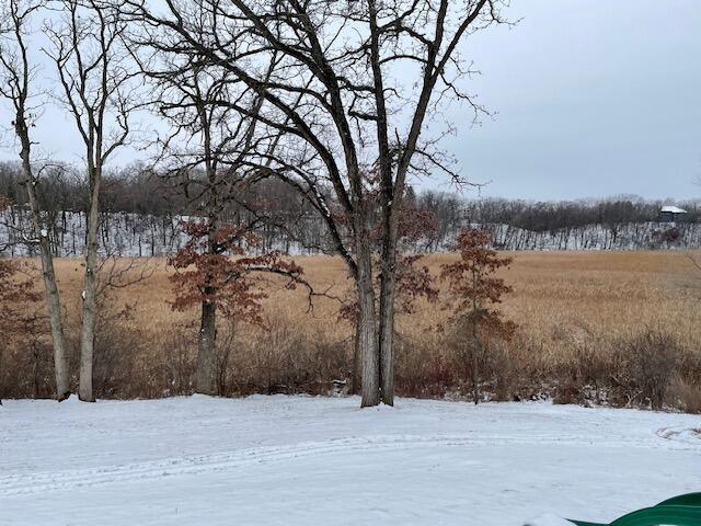 view of yard covered in snow