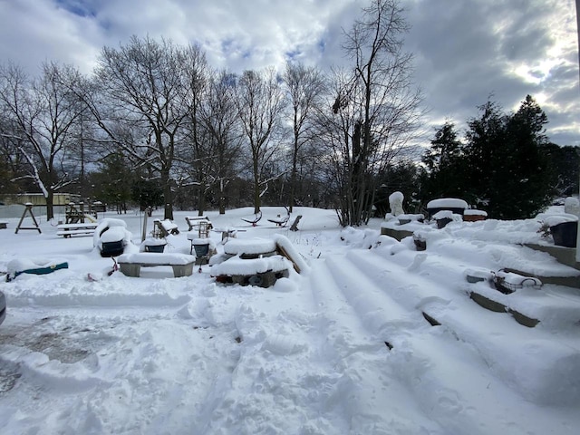 view of yard covered in snow