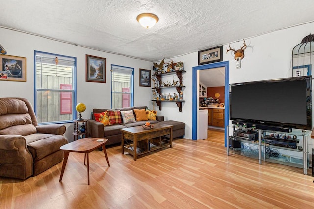 living room featuring wood-type flooring and a textured ceiling