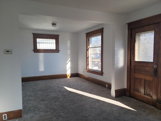 carpeted foyer entrance featuring a wealth of natural light