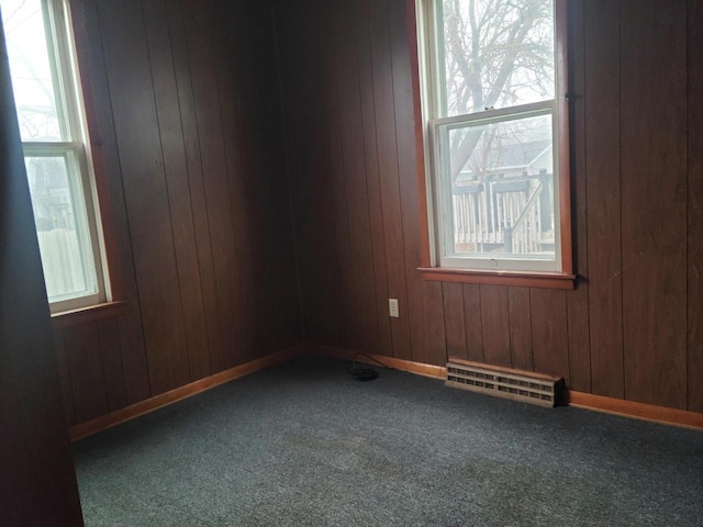 carpeted spare room featuring wooden walls and a healthy amount of sunlight