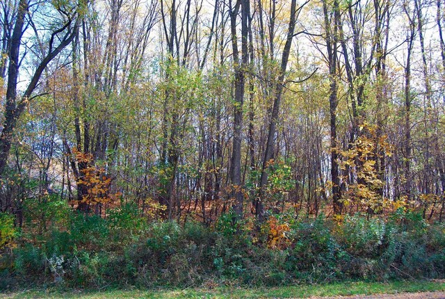 Listing photo 3 for LOT9PENGUIN E Redstone Dr, La Valle WI 53941