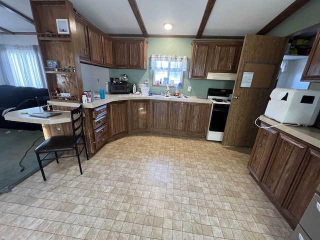 kitchen with dark brown cabinetry, white gas stove, and sink