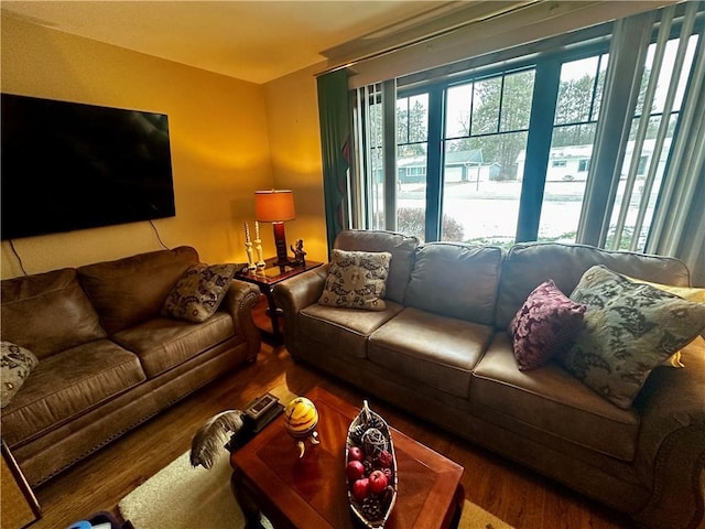 living room featuring hardwood / wood-style flooring