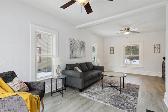 living room with light hardwood / wood-style flooring