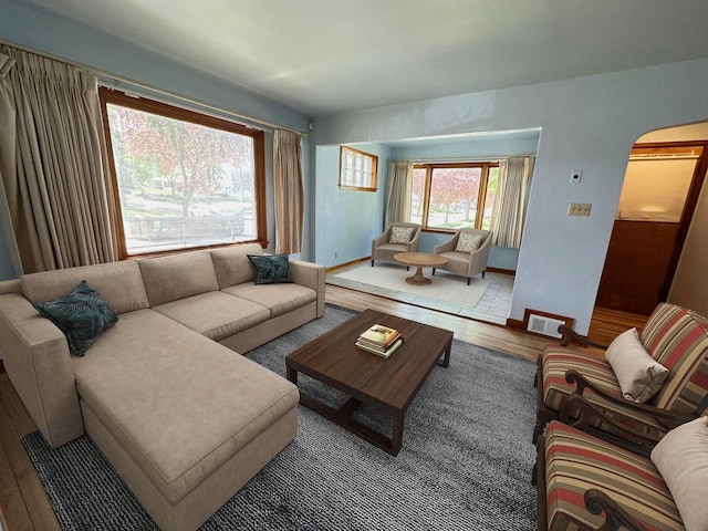 living room featuring wood-type flooring