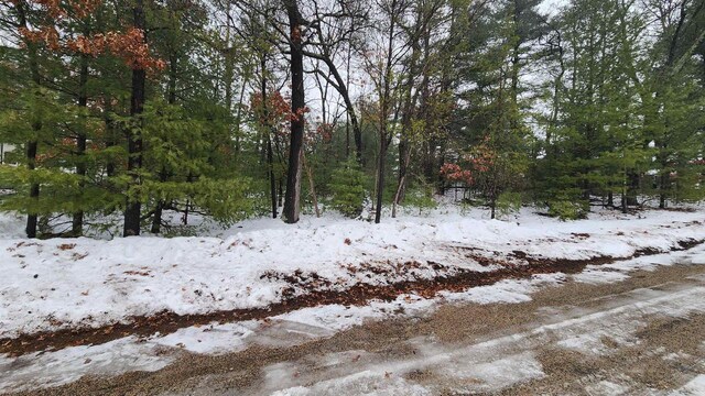 LOTS20-21 Leona St, Friendship, WI 53934