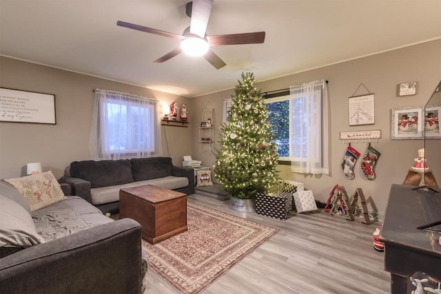 living room with ceiling fan and light hardwood / wood-style flooring