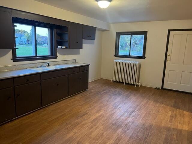 kitchen with wood-type flooring, radiator, sink, and dark brown cabinets