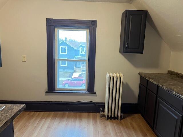 interior space featuring light hardwood / wood-style flooring, radiator heating unit, and vaulted ceiling