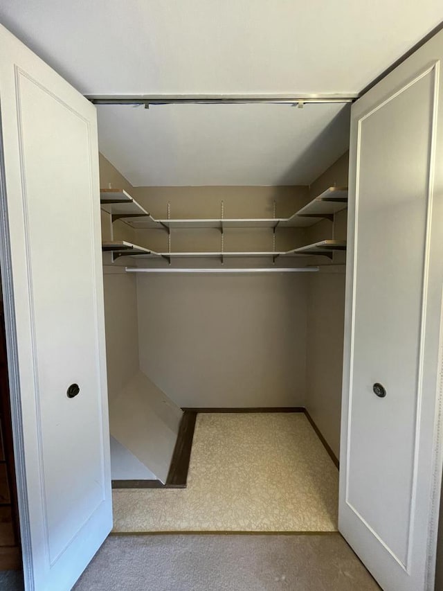 walk in closet featuring light colored carpet