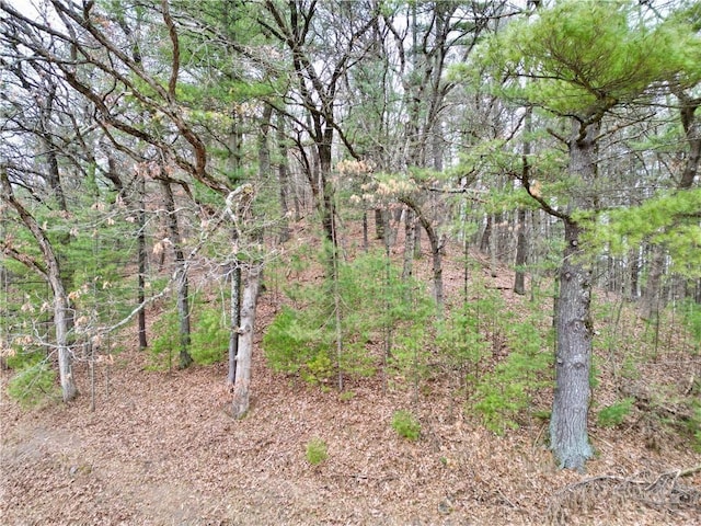 Listing photo 3 for 1.75ACRES Holum Rd, Eau Claire WI 54701