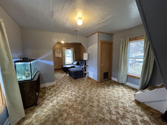 bonus room featuring carpet flooring