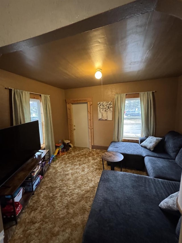 view of carpeted living room