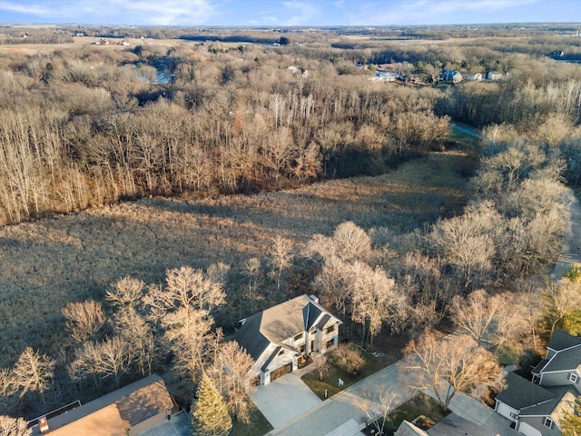 6461 Blue Heron Pointe Dr, Waterford, WI 53185 - aerial view
