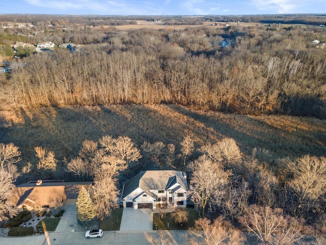 6461 Blue Heron Pointe Dr, Waterford, WI 53185 - bird's eye view